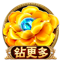 娱乐星空下载app2025最新版